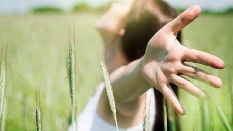 What is the Law of Attraction?