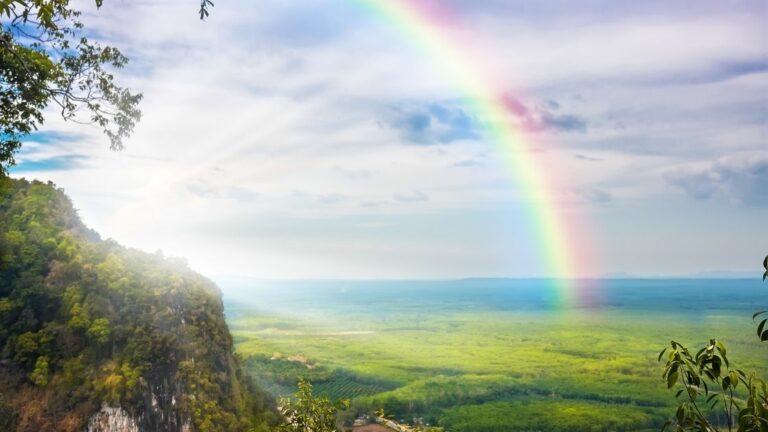 What Is Manifestation?